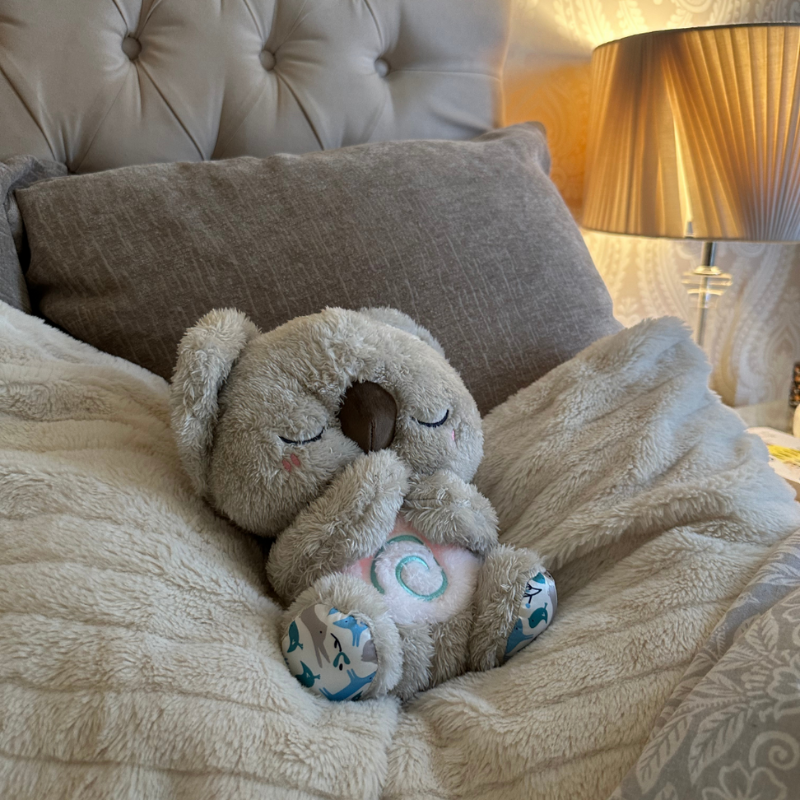 KoalaCuddle