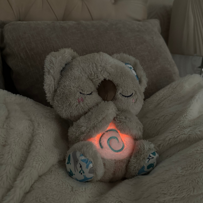 KoalaCuddle