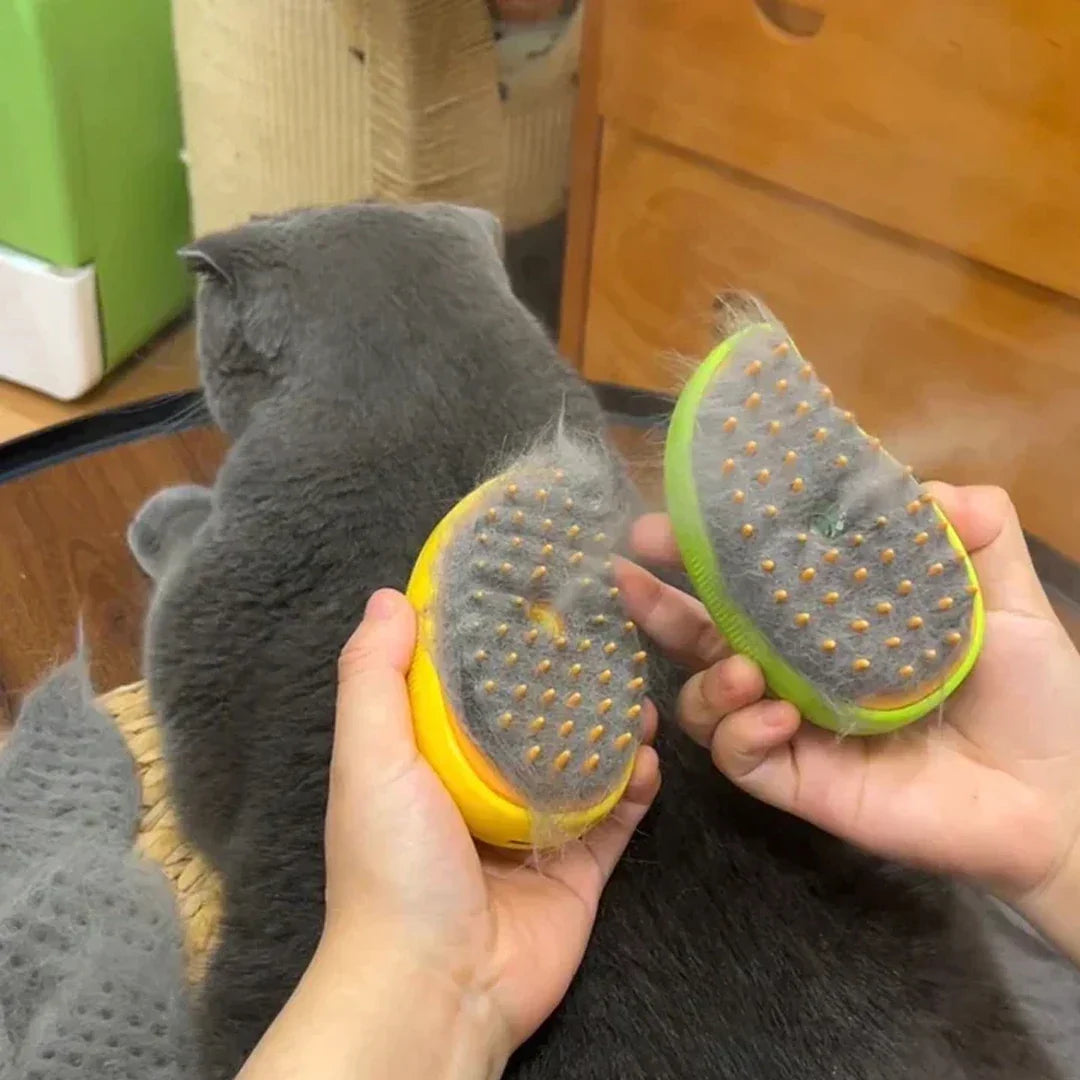 FurSteam